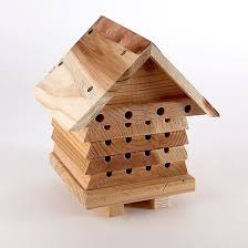 Solitary Beehive House Nest Box