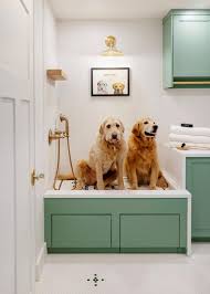 15 Ways To Create A Dog Room In Your