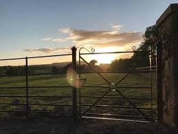 Steel Fencing Firm The Traditional