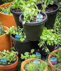 How To Make A Diy Stacked Herb Garden