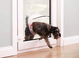 Platinum Pet Doors Sydney Doggy Doors