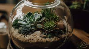A Glass Bowl With A Succulent Plant In It