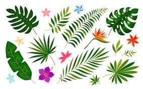 Tropical Leaf Flower Summer Print Green