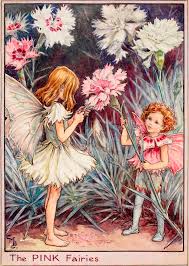 Flower Fairies