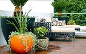 Balcony Garden At Best In Gwalior