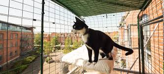 Cat Balcony Enclosure The Ultimate