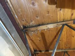 rot damaged parallel web joists