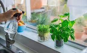 How To Grow Herbs Indoors The Home Depot