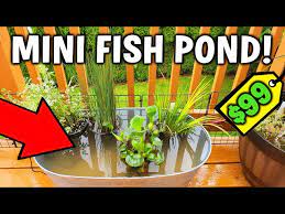 Easy Diy Mini Deck Or Patio Pond Setup