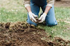 How To Sterilize Soil