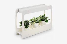 How To Grow An Indoor Herb Garden 2019