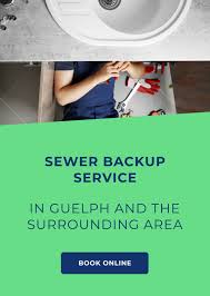 Sewer Backups Services In Guelph