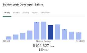 Web Developer Salary Plerdy