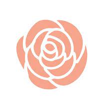 Pink Rose Flower On White Background
