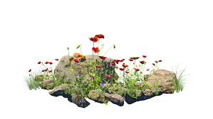 Flower Garden Icon Images Browse 1