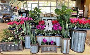 Plant Nursery Landscape Supplier