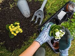 Garden Maintenance Tips By Experts