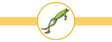 Frog Facts For Kids Twinkl Homework