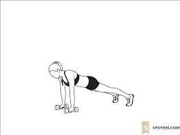 Dumbbell Plank Rotation Ilrated