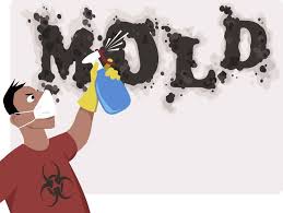 How To Remove Mildew Smell Out Of Your Rugs