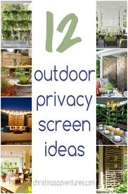 Outdoor Privacy Screen Ideas Privacy