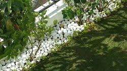 White Garden Pebbles Stone At Rs 20 Kg
