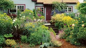 Growing An English Cottage Garden