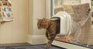 Dog And Cat Flap Cost Guide 2024 How