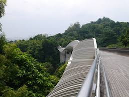 henderson waves bridge picture of the