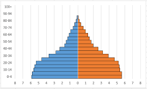How To Build A Population Pyramid In