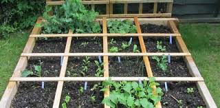 20 Vegetable Garden Layout Ideas The