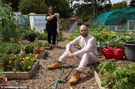 Vegetable Crop With Paint