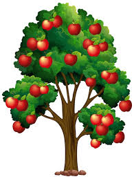 Apple Tree Images Free On
