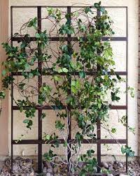 Wrought Iron Garden Trellises Las Vegas