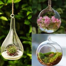 Hanging Plants Glass Flower Vases