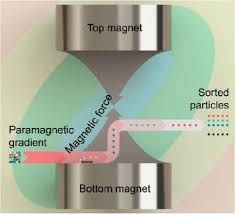 Magnetism Assisted Density Gradient