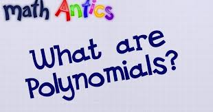 Are Polynomials Math Antics
