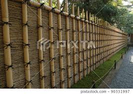 Bamboo Fence In Japanese Garden