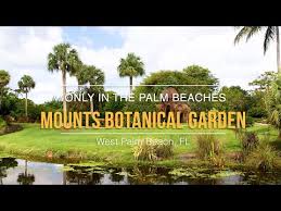 West Palm Beach Fl Things To Do
