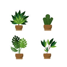 Potted Plants Icon Set 1312356 Vector