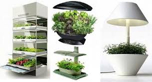 Creative Indoor Herb Garden Ideas To