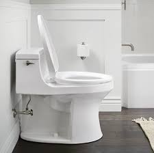 The Best Heated Toilet Seats Of 2023