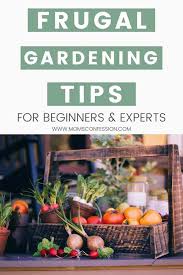 Frugal Gardening Tips Tricks For
