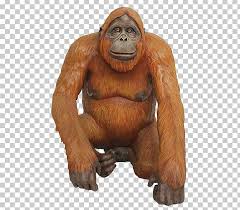 Orangutan Gorilla Icon Png Clipart