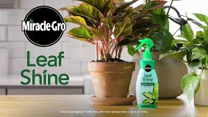 Miracle Gro 8 Fl Oz Leaf Shine 100720
