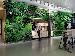 Indoor Vertical Garden Vertical Garden