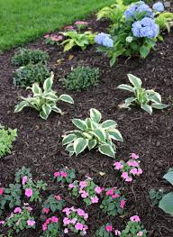 Apply Mulch To Your Flower Beds