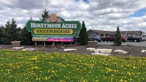 At Honeymoon Acres Greenhouse