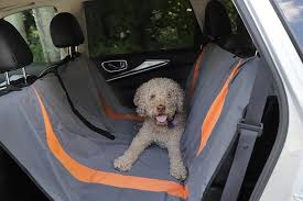 Bud Z Dog Car Seat Cover Gray Orange
