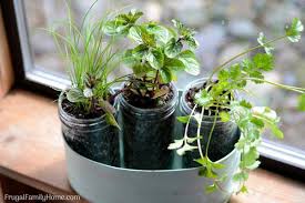 Diy Windowsill Herb Garden Simple